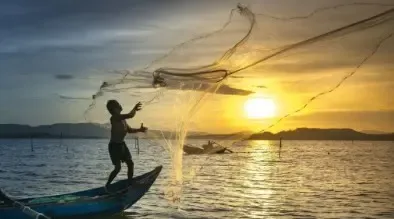 Maharashtra Cabinet Grants Agricultural Status to Fishing