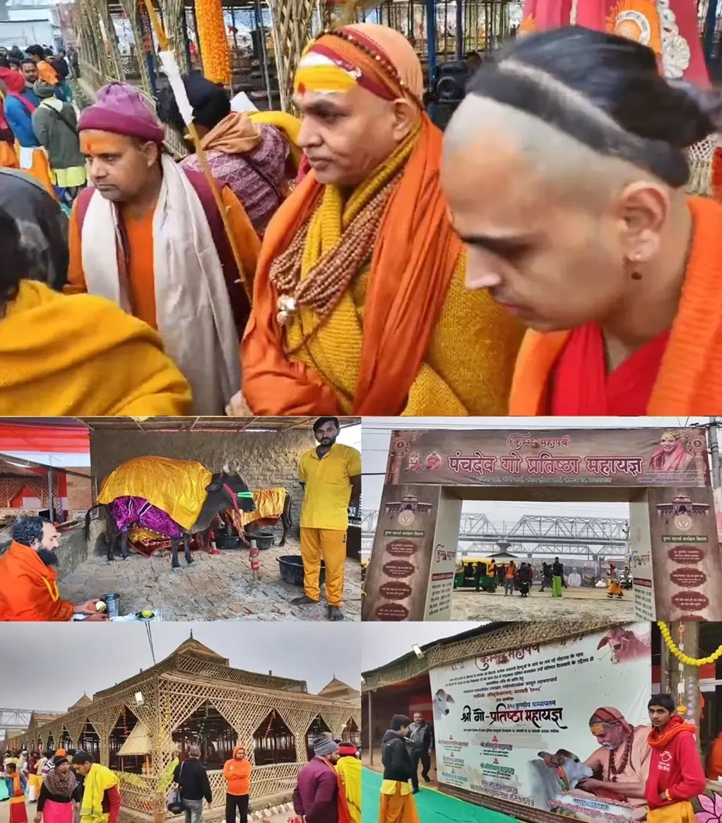 Maha Kumbh: Spiritual Leaders Conduct 'Yagya' for Cow Protection and Sanatan Dharma