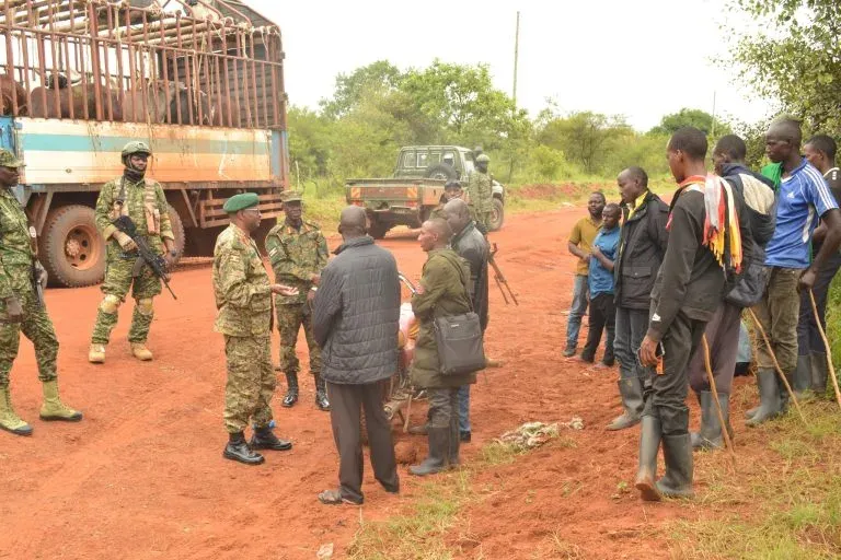 Did the Major ADF Base Camp Get Seized in Eastern DRC?