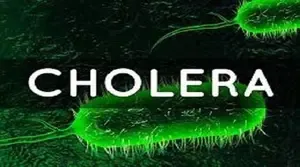 Malawi Unveils Comprehensive Cholera Control Strategy