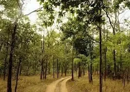 Chhattisgarh Reports 267 Maoist Violence Incidents in 2024: Official Data