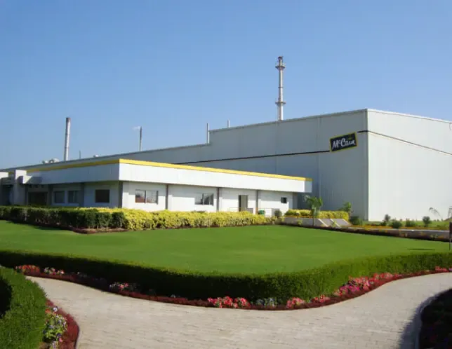 McCain India Sees Net Profit Plummet by 29% in FY24 Due to Rising Expenses