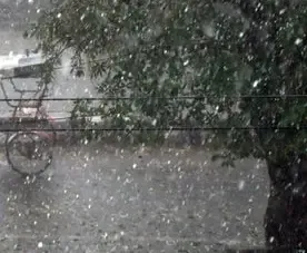 Meteorological Department Issues Rain and Hailstorm Warning for Rajasthan on Holi