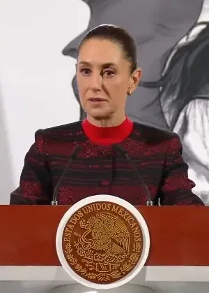 Formal Discussions Initiated Between Mexico and US on Key Issues, States President Sheinbaum