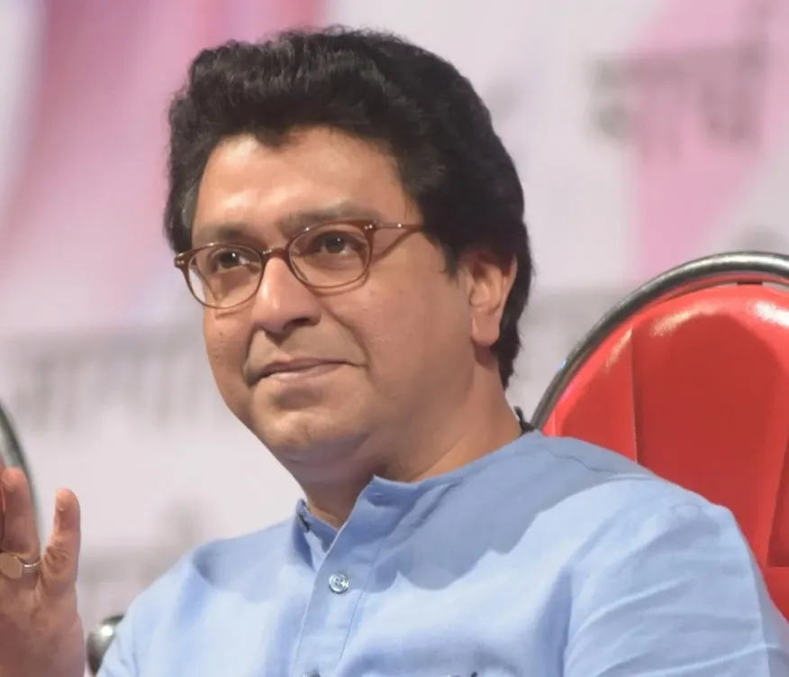 What Led to MNS’ 2024 Rout?