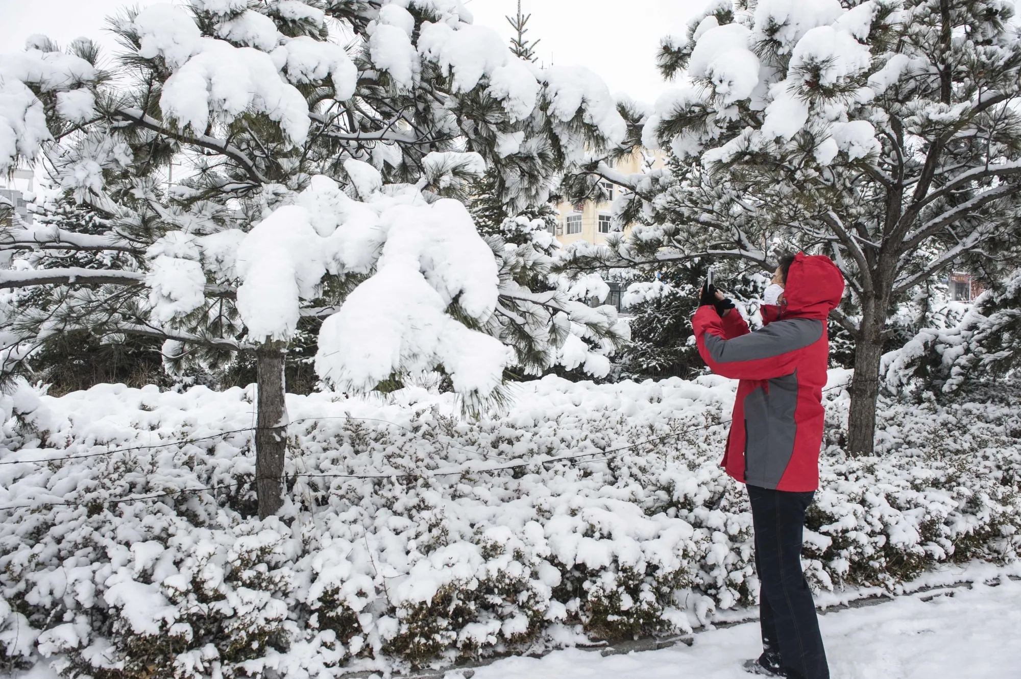 Mongolia Issues Alert for Impending Blizzards