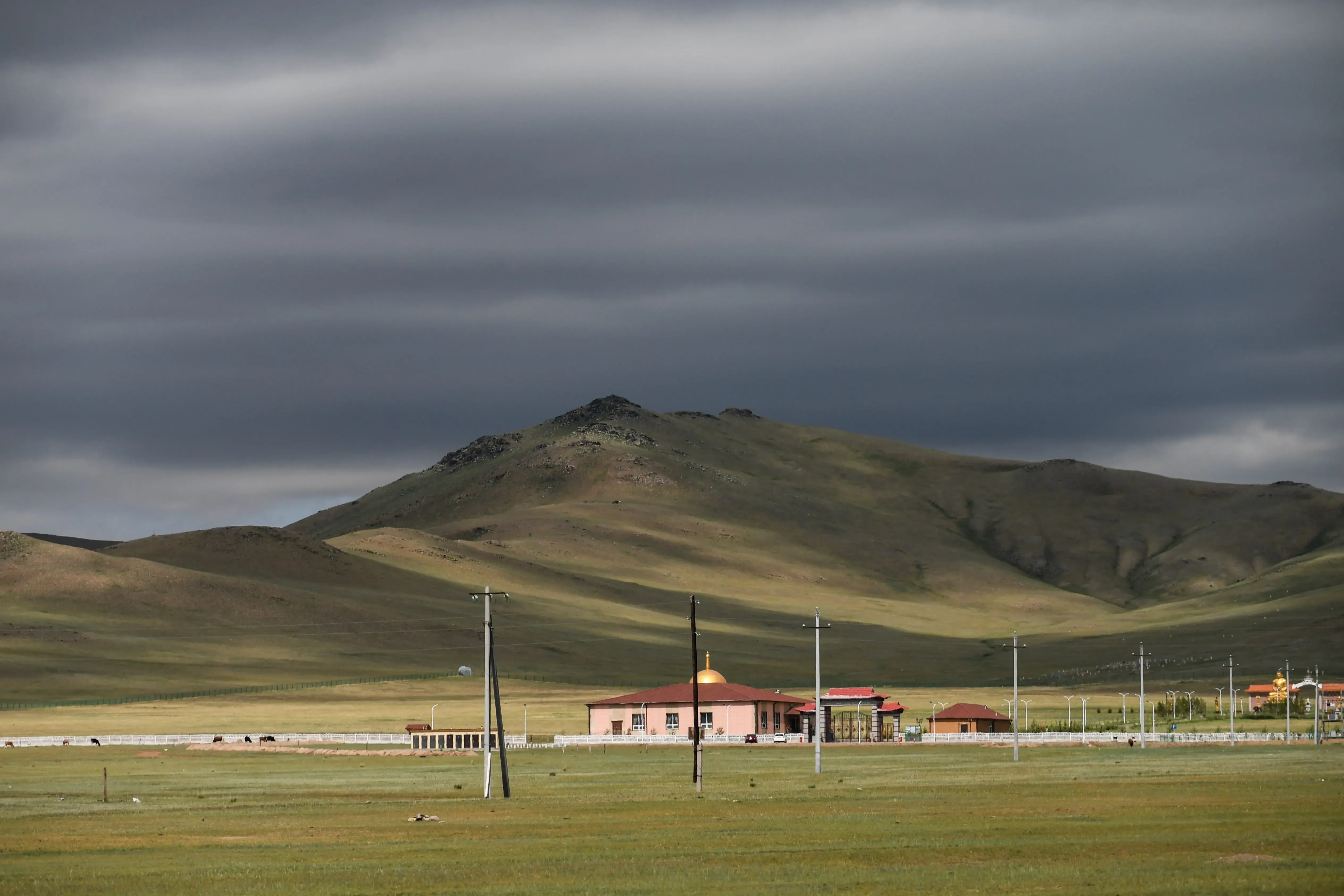 Mongolia to Bolster Support for the Wool, Cashmere, and Leather Processing Sectors