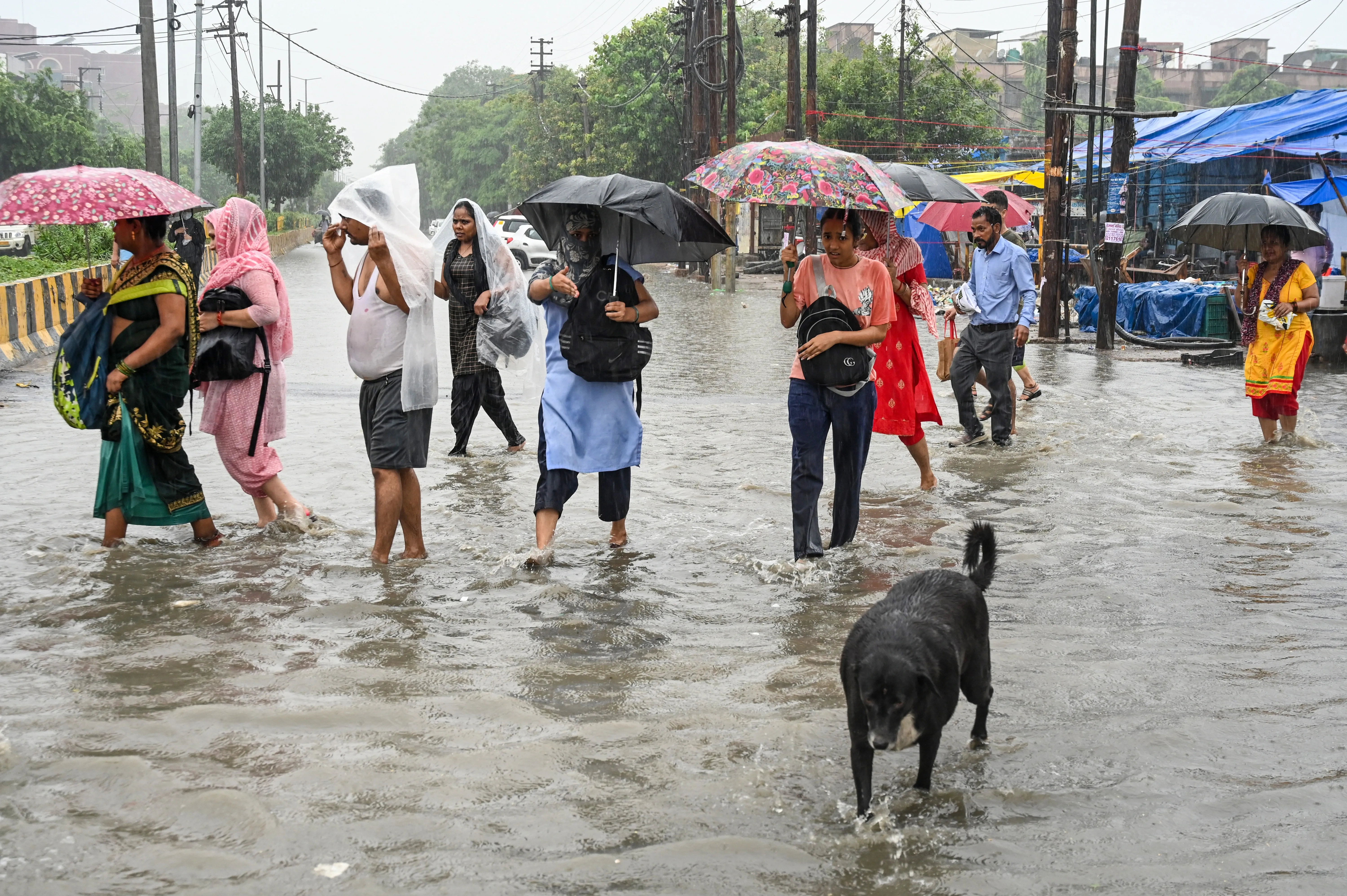Are Monsoons Causing Preventable Hepatitis A and E Cases in Delhi?