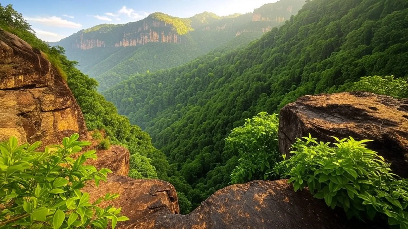 Has MP Approved Pachmarhi Land Exclusion for Tourism Development?