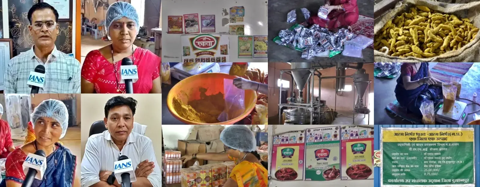 Burhanpur’s Banana and Turmeric Flourish under ODOP, Exports to Moscow Surge