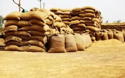 Will Madhya Pradesh Achieve Its Wheat Procurement Goal of 85 Lakh Tonnes?