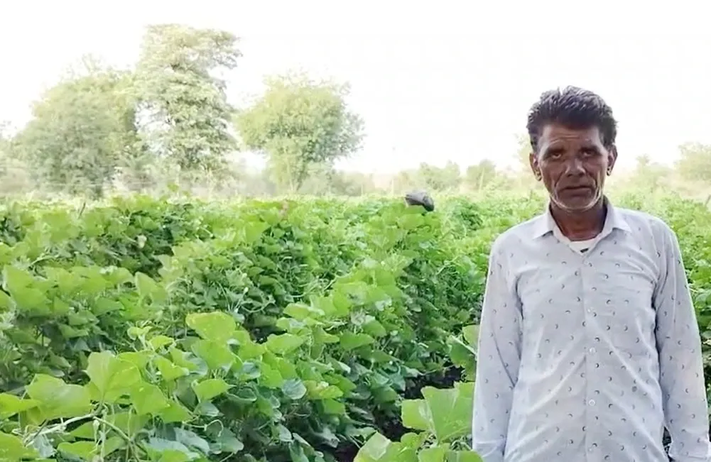 How are Farmers in Jhabua Benefiting from the PM-KISAN Scheme?