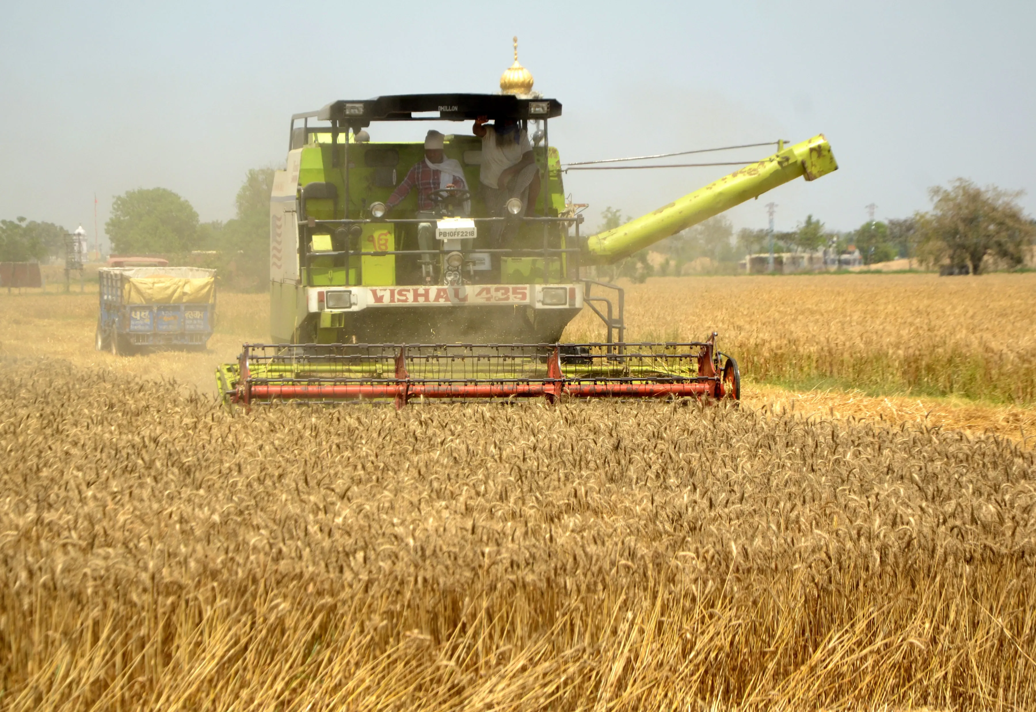 Has Madhya Pradesh Procured 77.74 Lakh Tons of Wheat This Season?