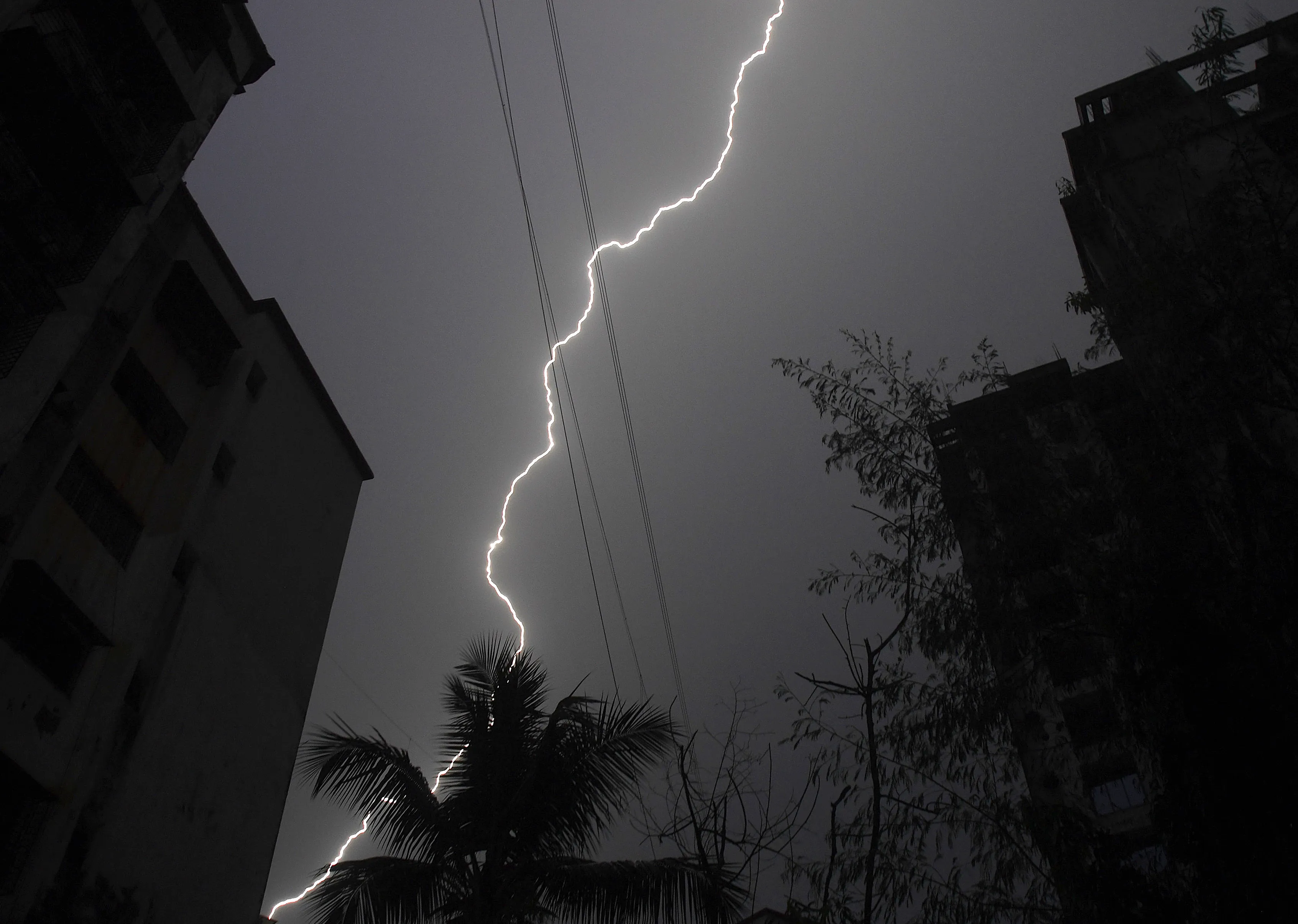 What Happened in MP: Three Family Members Killed by Lightning?