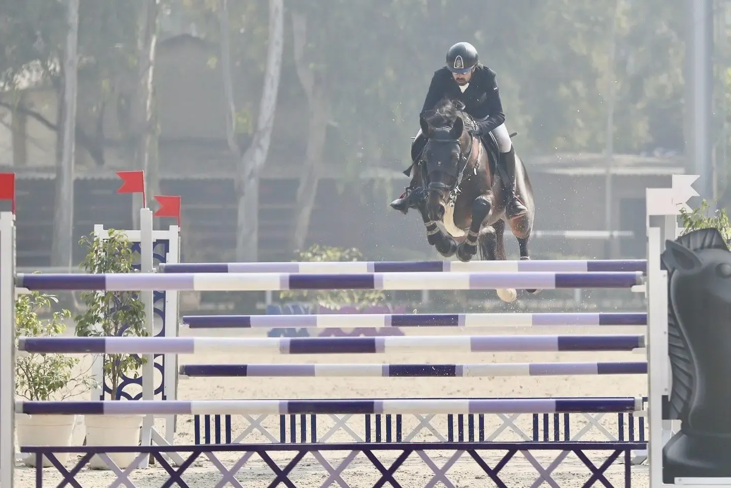 National Equestrian Championship: Elite Riders Compete in Showjumping in Meerut