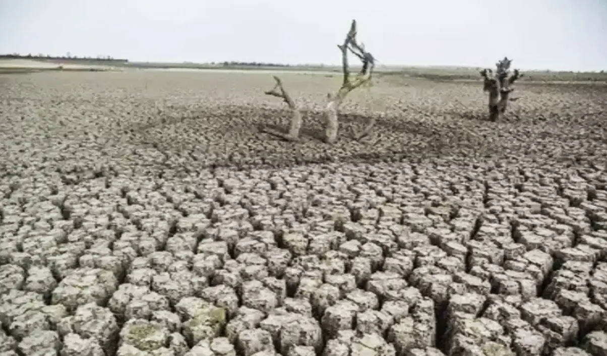 Around 200 Nations Pledge to Prioritize Land Restoration and Drought Resilience
