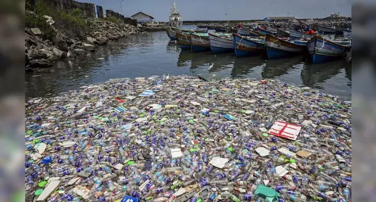 Negotiations Concerning Global Treaty to Combat Plastic Pollution Conclude Without Consensus