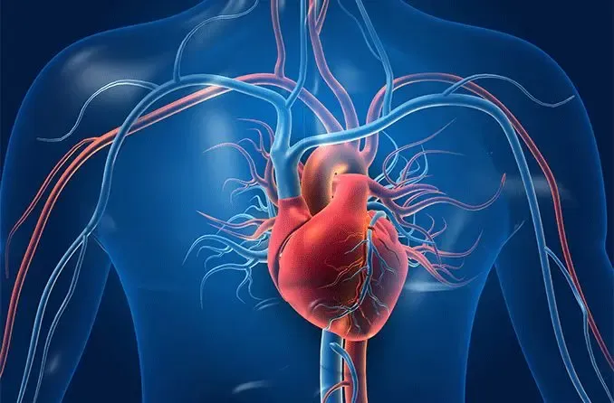 Innovative AI Algorithm Predicts Cardiovascular Risks and Heart-Related Fatalities