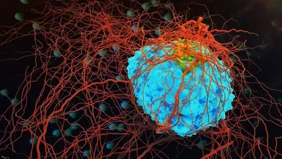 Innovative Gene Test Identifies Blood Pathogens Without Amplification
