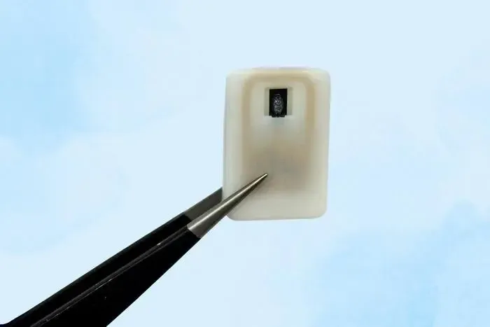 Could a New Implantable Device Rescue Diabetics from Severe Hypoglycemia?