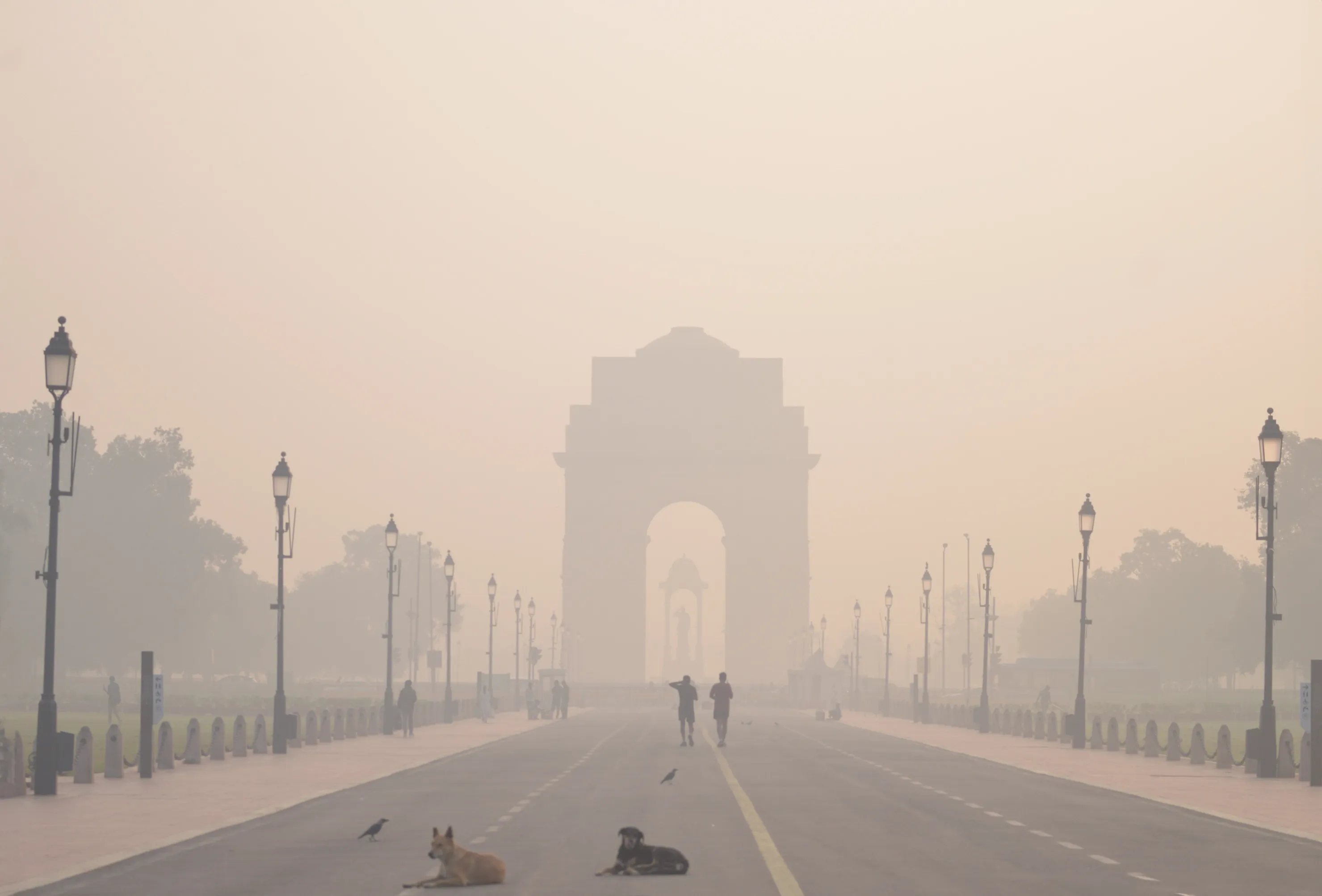 Is This New Pocket-Sized Sensor Capable of Detecting Asthma and Lung Damage Caused by Sulphur Dioxide?