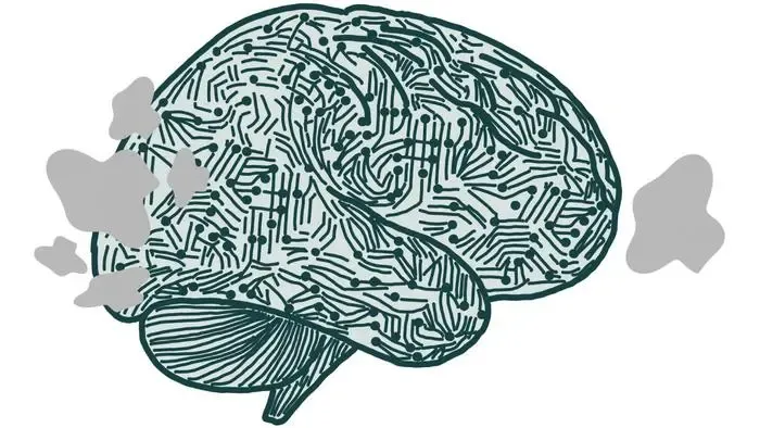 Recent Research on Brain's Visual Areas Offers Insights for AI Development