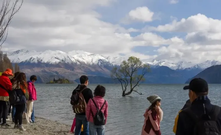 New Zealand Eases Visitor Visa Regulations for Workcation Opportunities