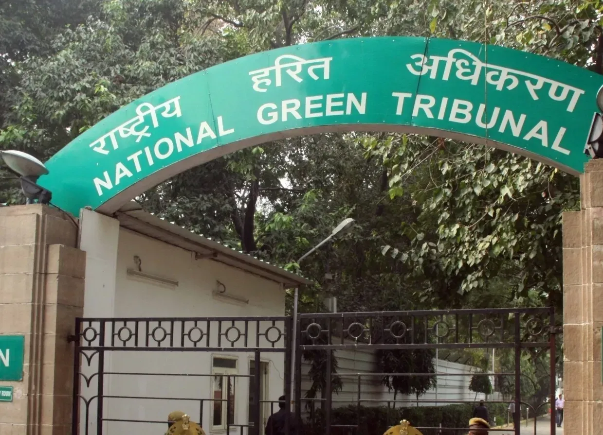 NGT Calls for Presence of DDA Vice-Chairman and Others Over Inaction on Delhi Ponds