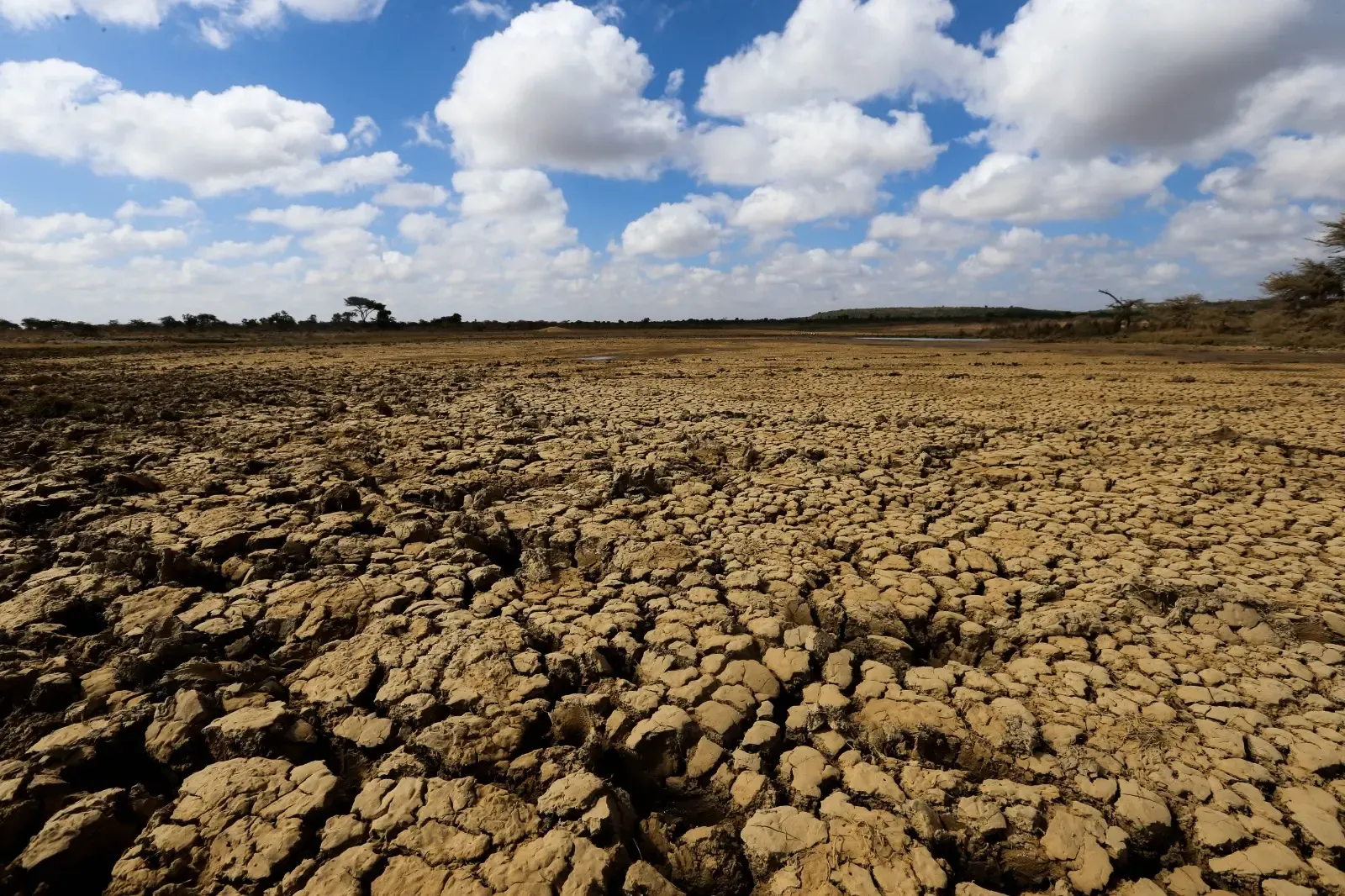 NITI Aayog Collaborates with Gram Panchayats to Enhance Climate Resilience at Community Level
