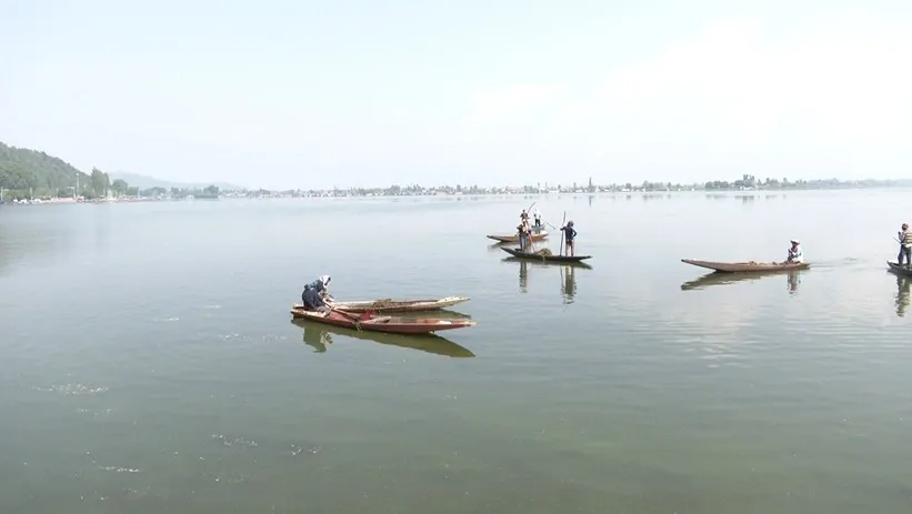 Is Peace Finally Returning to J&K and Surrounding Areas?