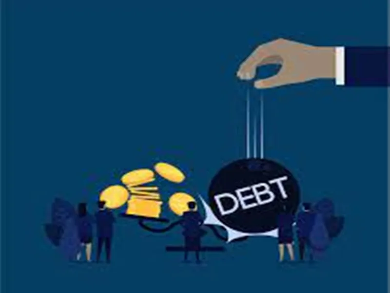 Projected Surge in Debt Workout Scheme Applicants for 2024