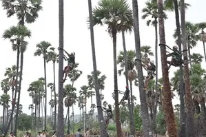 What Happened in Hyderabad as the Number of Adulterated Toddy Victims Reaches 37?