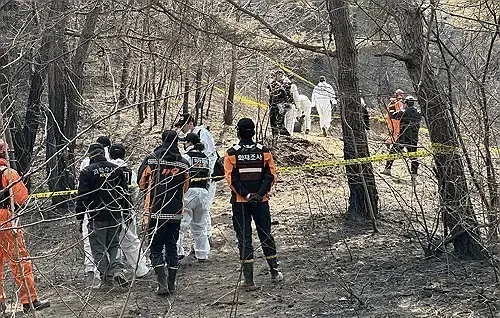 Investigation Launches at Ignition Point of Uiseong Wildfires in South Korea