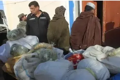 Over 65,000 Employment Licenses Granted in Afghanistan