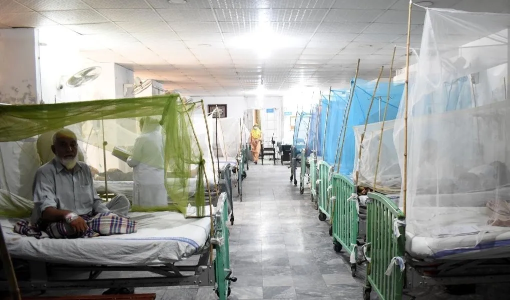 What Measures Are Being Taken to Combat Rising Dengue Cases in Rawalpindi?