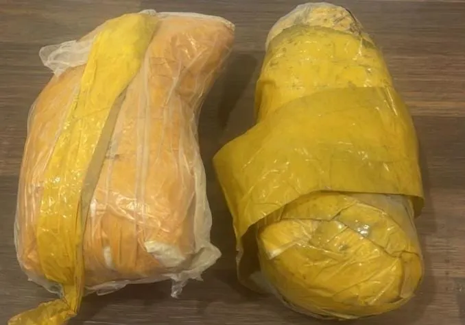 What Was Found in the Pakistani Drone Seized in Rajasthan's Sri Ganganagar?