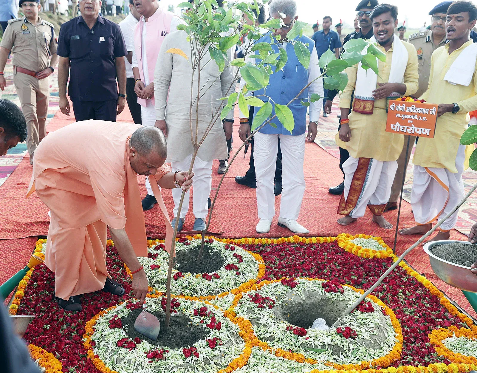 Did UP CM Yogi Adityanath Really Plant 204 Crore Saplings?