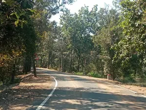 Durga Singh, PLFI Leader, Captured Alongside Two Maoists in Jharkhand; Weapons Recovered