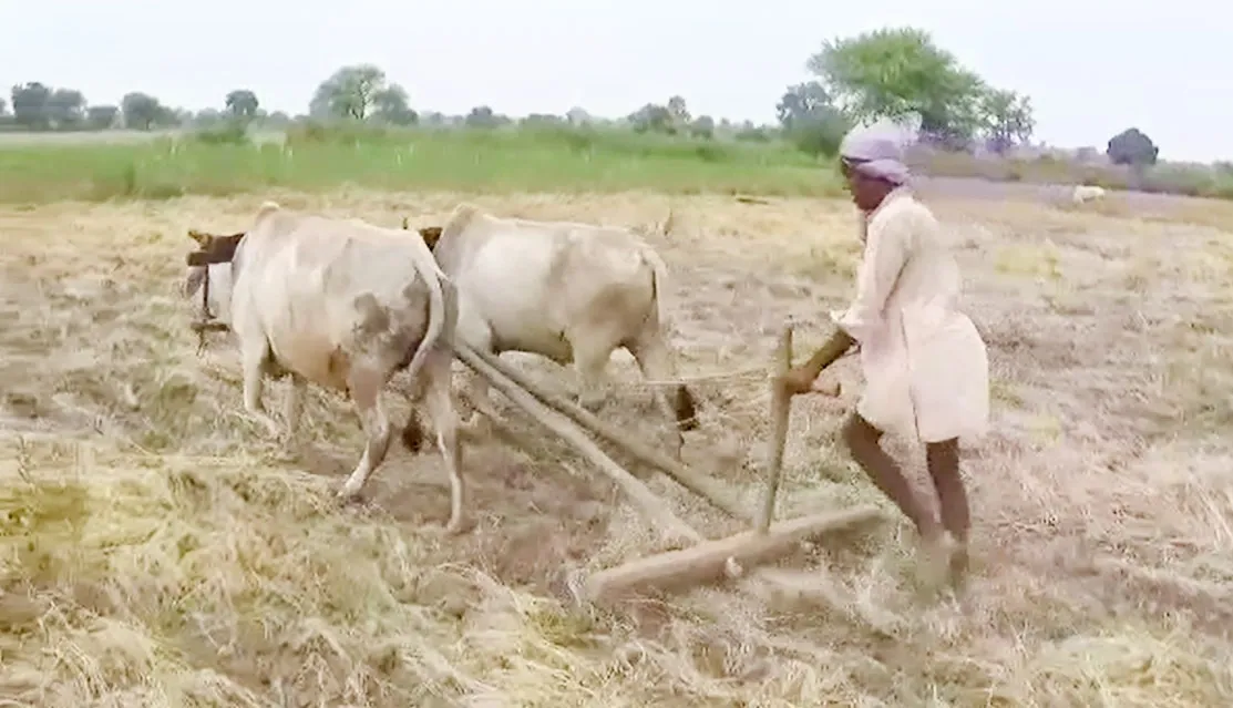 What is the Impact of PM KISAN Scheme on Farmers in MP's Damoh?