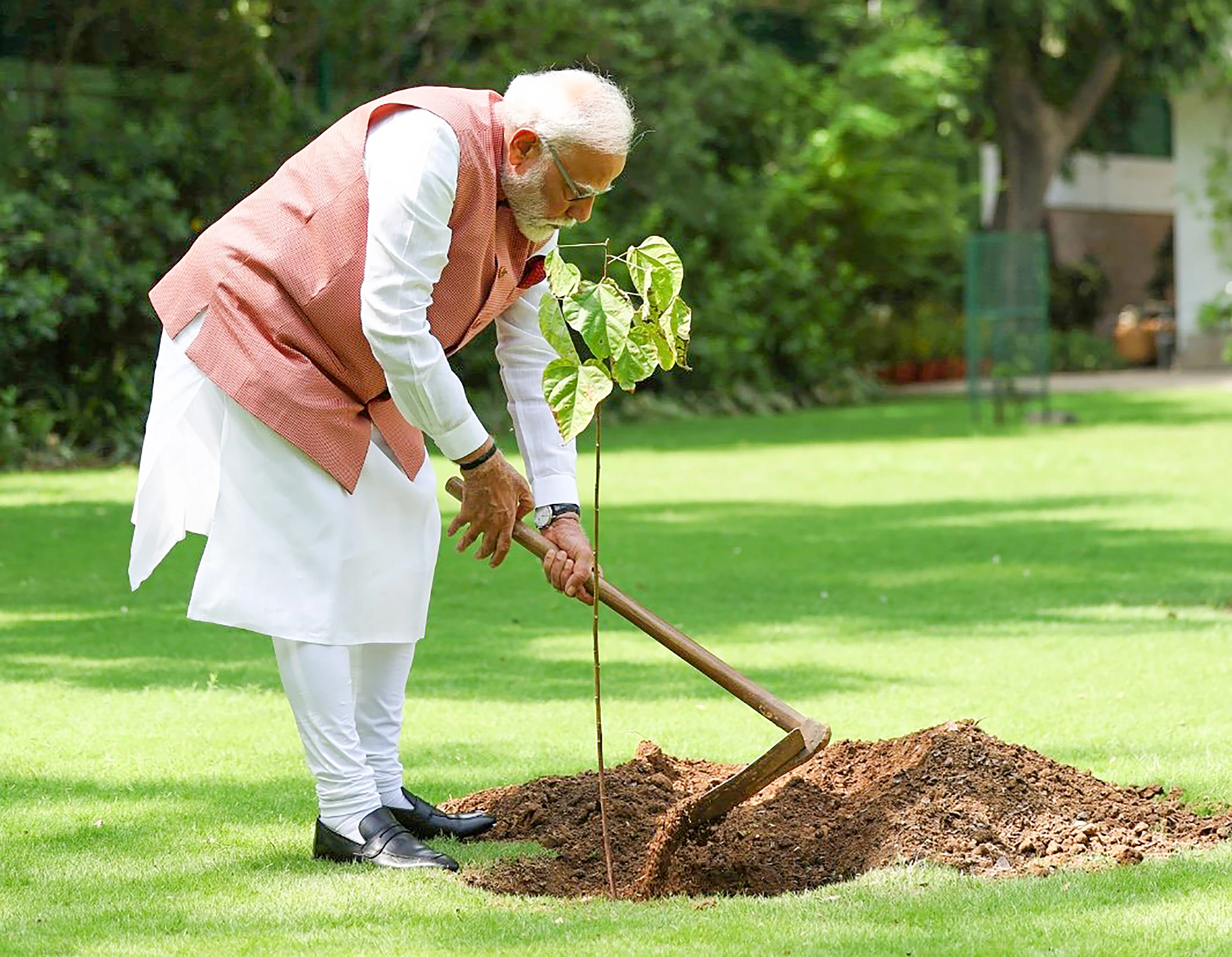 Did PM Modi Launch the 'Aravali Green Wall' Project by Planting a Sapling Under the Ek Ped Maa Ke Naam Initiative?