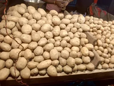 Bengal's Retail Potato Prices Expected to Surge as Traders Threaten Unrest
