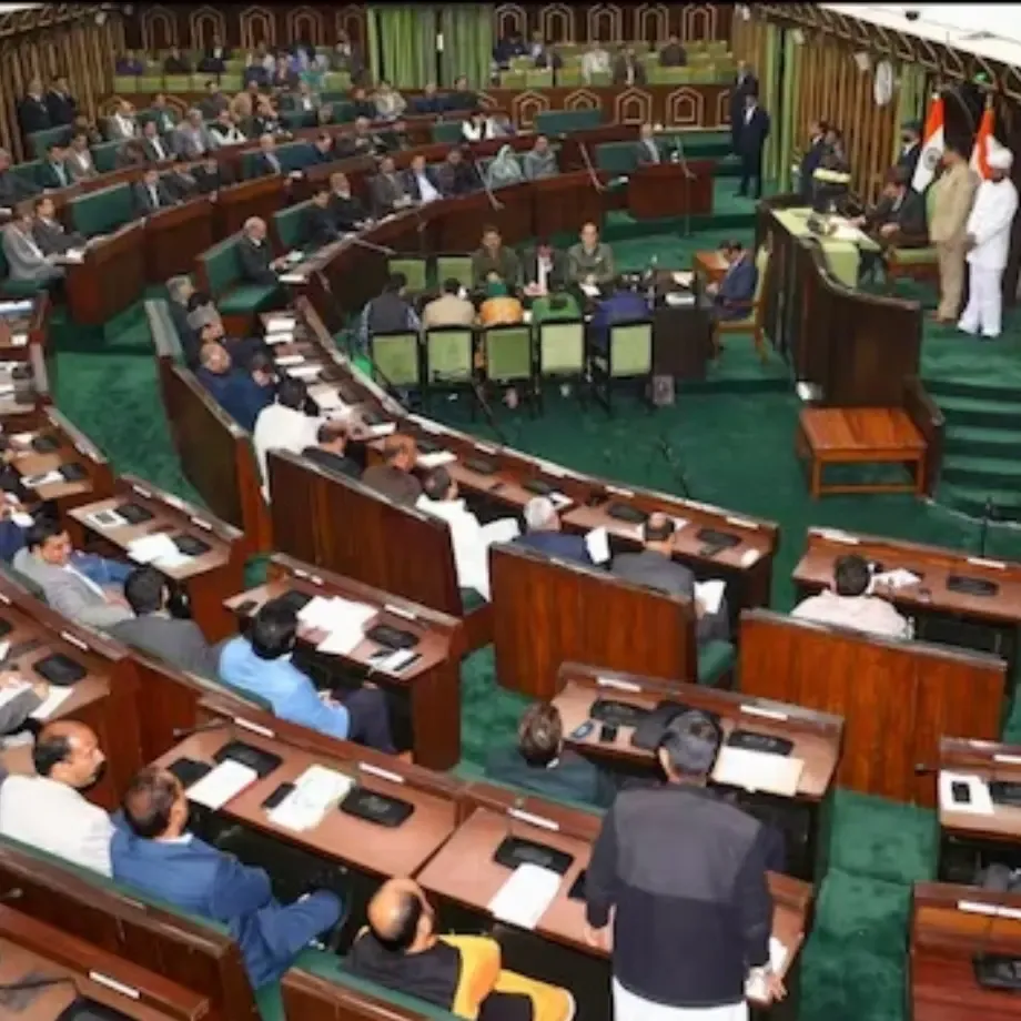Huge Amounts Owed by Power Defaulters; J&K Government Targets Water Body Encroachments