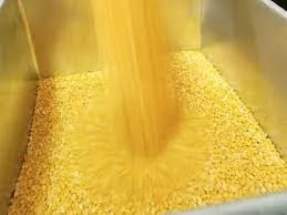 Procurement of Pulses from Farmers at MSP Under PM-AASHA Scheme Progressing