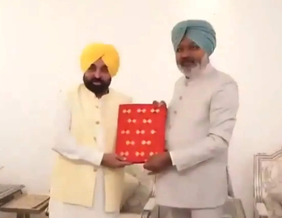 Punjab Budget: State to Conduct First Comprehensive Drug Census