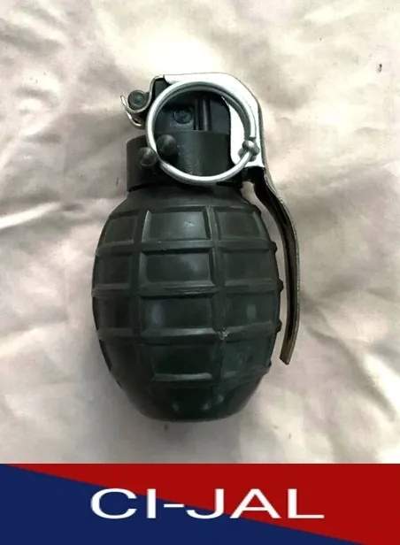 Did Punjab Police Seize a Hand Grenade from BKI Operatives?