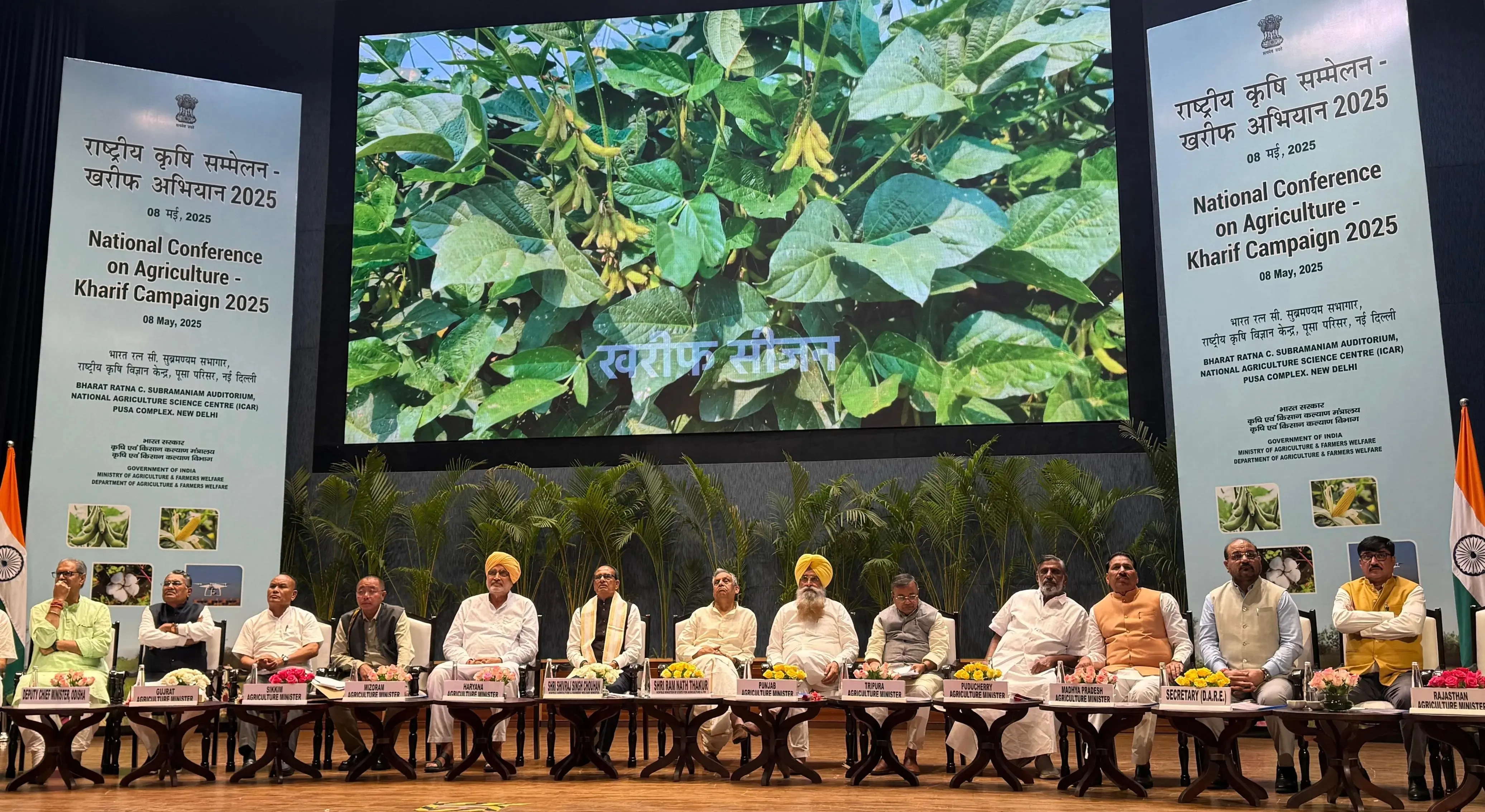 Will Punjab Receive a Cash Incentive of Rs 17,500 per Hectare for Paddy Diversification?
