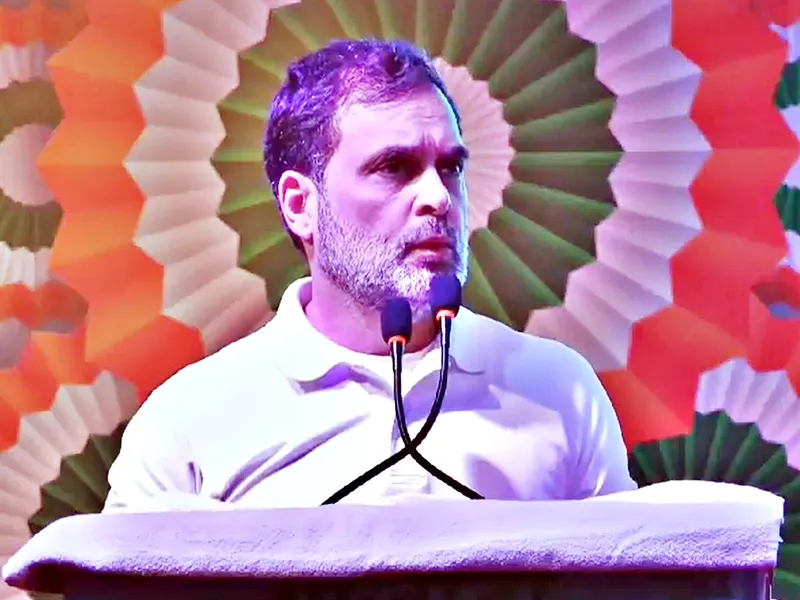 Rahul Gandhi Joins DMK Student Wing Protest Against UGC Draft Rules in Delhi