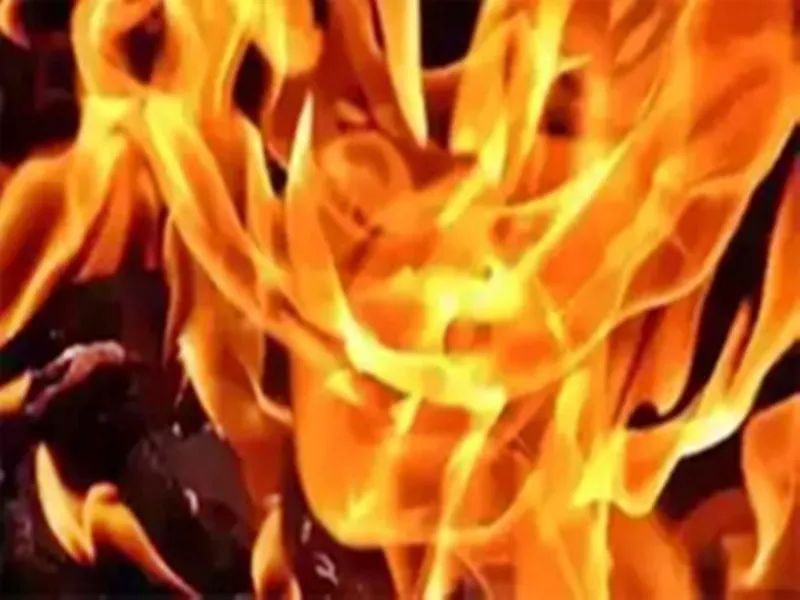 What Happened When the Mining Mafia Attacked DSP's Vehicle in Sawai Madhopur?