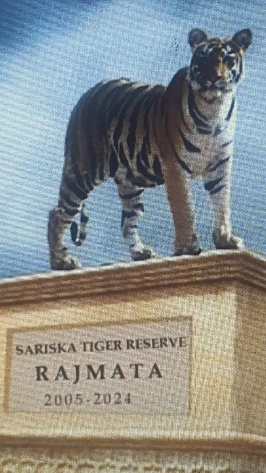 Tigress 'Rajmata' to be Honored with Statue in Sariska