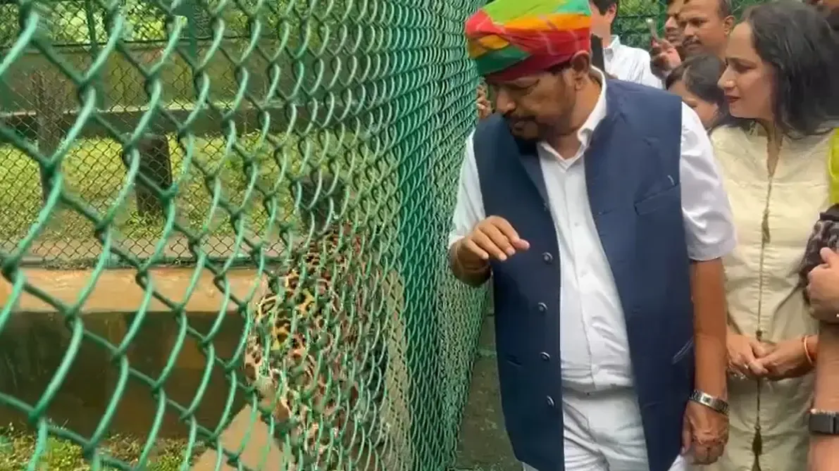 क्या केंद्रीय मंत्री रामदास आठवले ने मुंबई के एसजीएनपी में तेंदुआ 'सिम्बा' को गोद लिया?